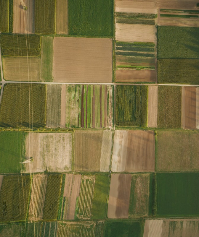 Aerial photograph showcasing agricultural fields divided into geometric patterns with different crops and soil textures