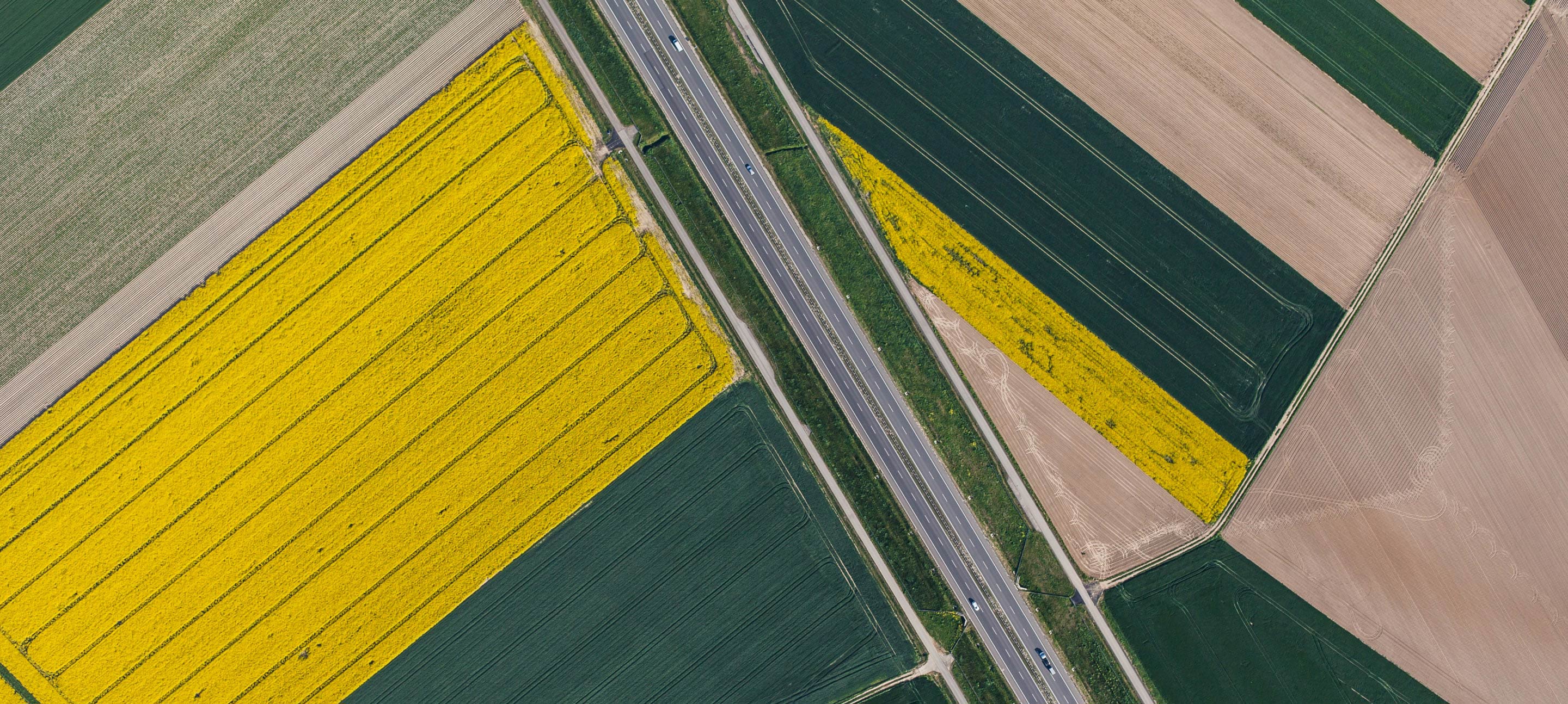 Aerial photograph of agricultural fields in various colors, divided by a highway with visible cars