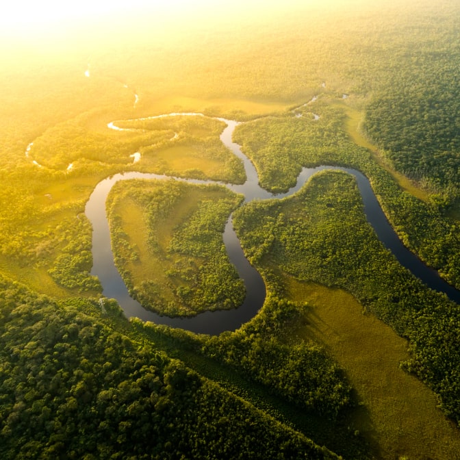 Aerial view of a meandering river cutting through a dense forest, bathed in warm sunlight.