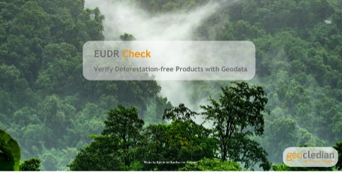 Rainforest with mist and an overlay promoting EUDR Check for verifying deforestation-free products with geospatial data