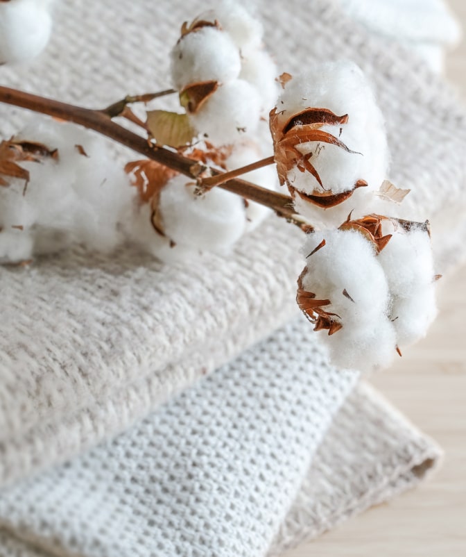 Close-up of raw cotton branches resting on soft, natural fiber textiles, highlighting sustainable and organic fabric materials.