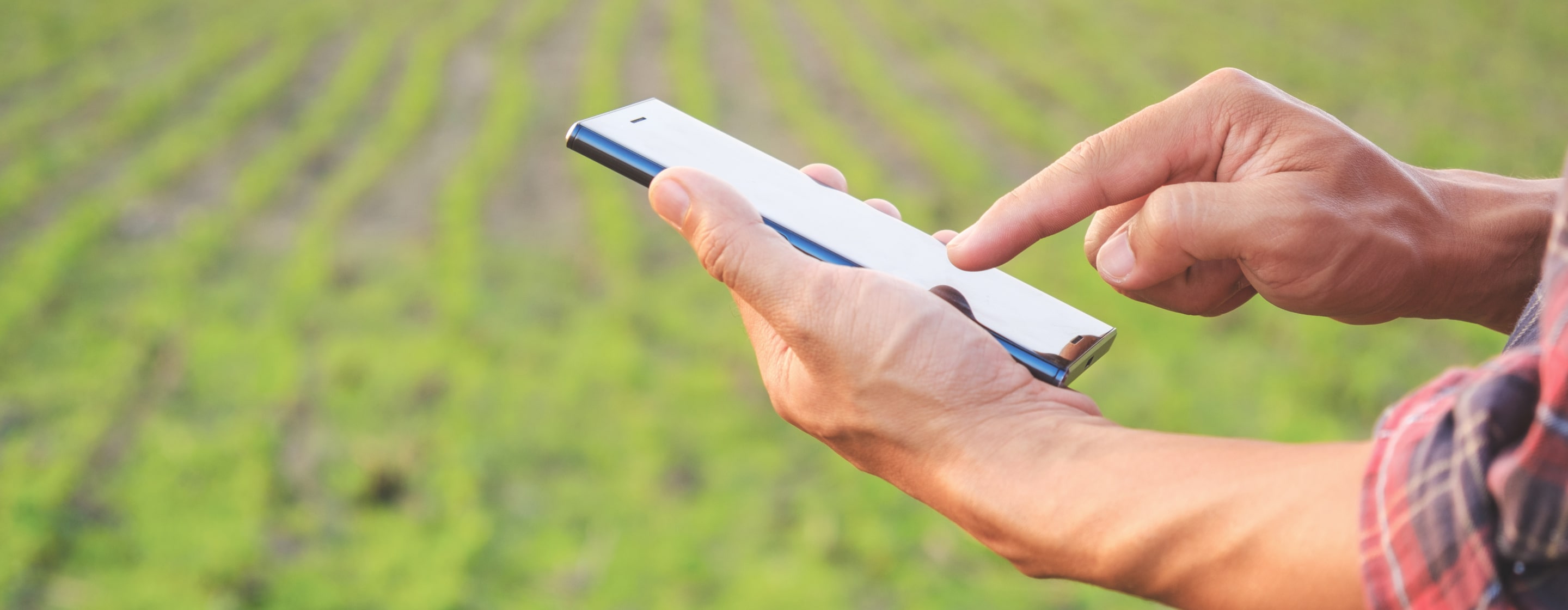 Close-up of a farmer's hands using a smartphone in a green field, optimizing farming decisions with digital technology