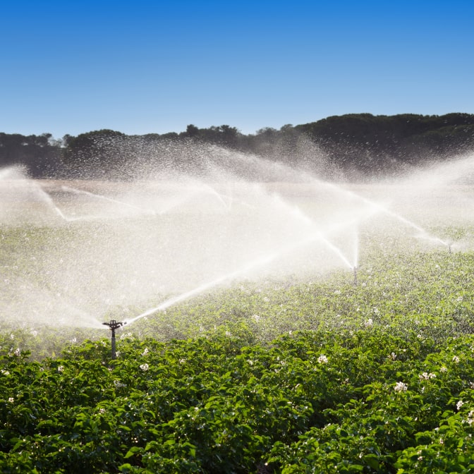 Automatic sprinkler system spraying water over a green crop field under a clear blue sky