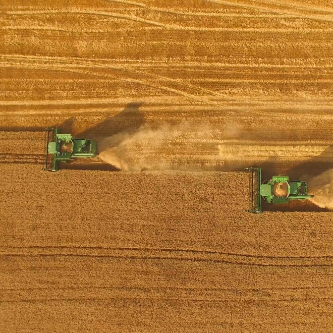 Aerial view of two green combine harvesters harvesting wheat, leaving dust trails in a vast golden field