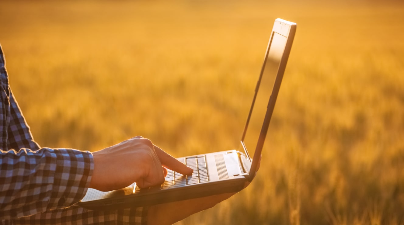 Close-up of a farmer's hands typing on a laptop in a golden wheat field, leveraging technology for smart farming decisions