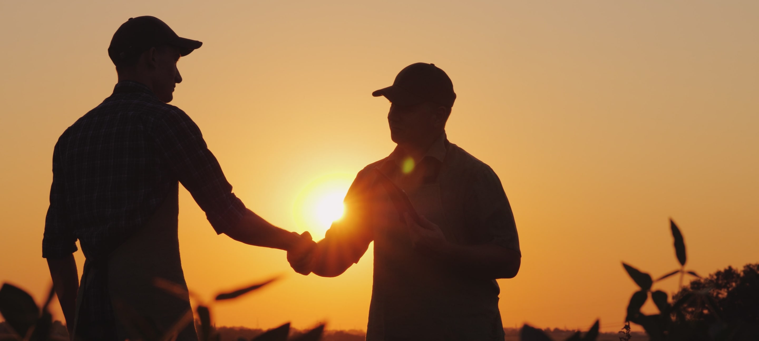 Two farmers shaking hands in a field at sunset, symbolizing trust and partnership in agriculture