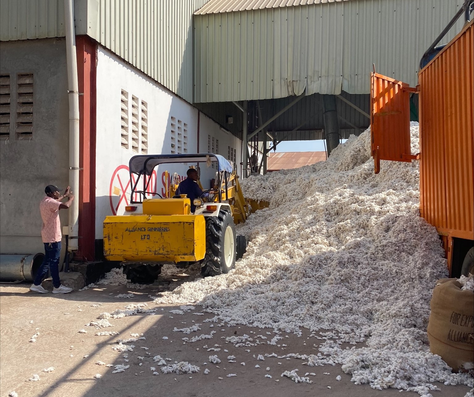 Workers and machinery handling raw cotton at a ginning factory, unloading from a truck and processing for export.